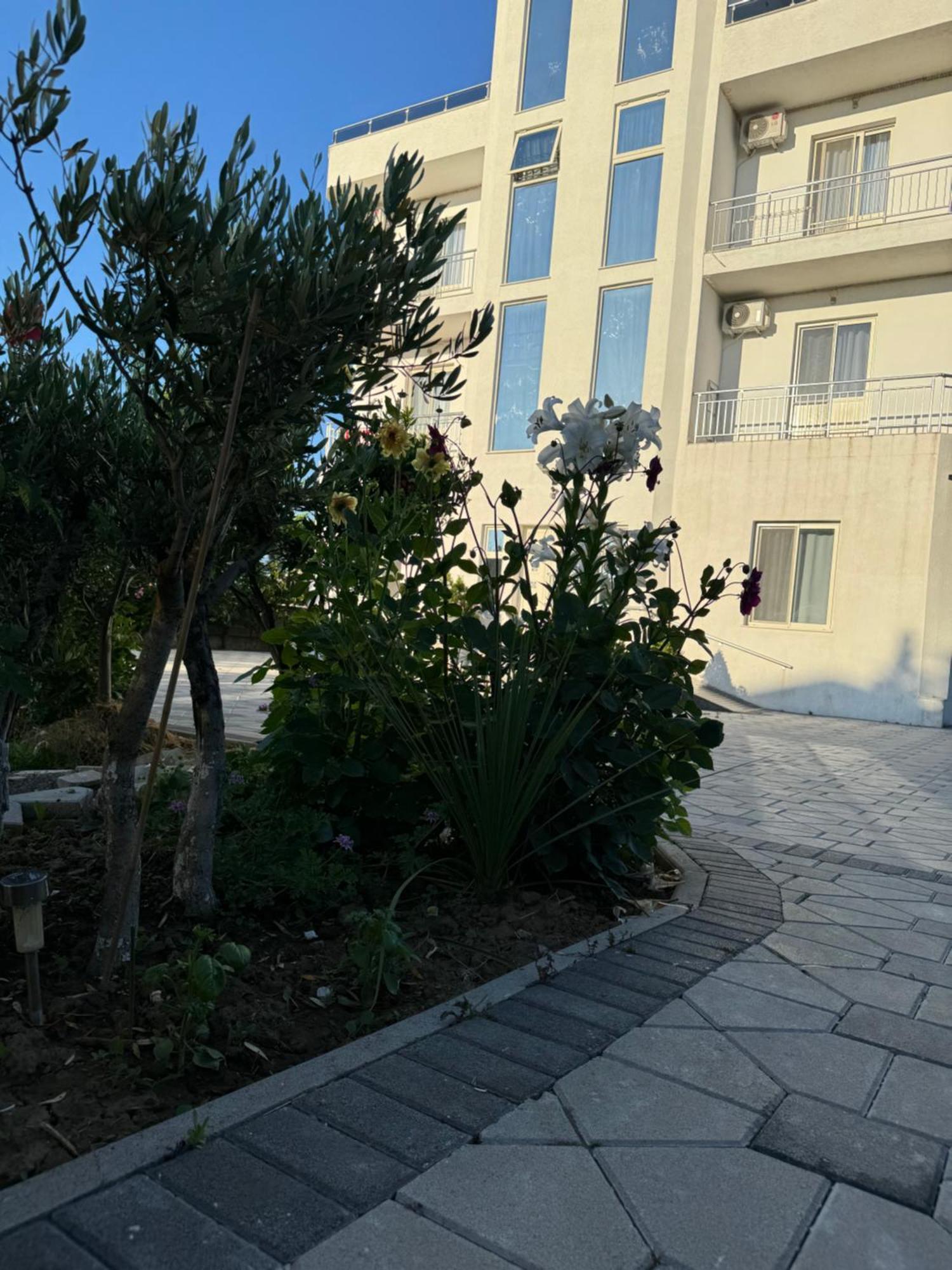 Kunevain Guest House Lezhë Dış mekan fotoğraf